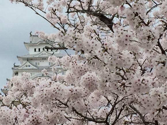 hanami2016